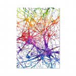 Neuron Watercolor Neuroscience Neurology Seinakunst Plakat Prindi Aju anatoomia Meditsiin L&otilde;uend Maali Synapse Kliinik Ruumi sisustus 70x100cm No Framed