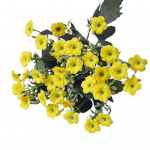 1 tk, 6 oksa, 36 pead, simulatsiooni siidist lill Milano DIY kunsti pulmade kodukaunistus helelilla v&auml;rv