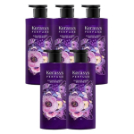 Kerasys Elegance Amber Perfume Shampoo, 600ml, 5 pcs. pink