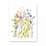 Akvarell, metslillede plakat, v&auml;rvilised lilleprindid, taimeseina kunst, l&otilde;uendimaal, seinapildid elutoa kaunistamiseks 8X12inch 20x30cm