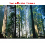 Fototapeet 3D Roheline Mets Loodusmaastik Suured Seinamaalingud Elutuba Diivan Magamistuba Kaasaegne Seinamaaling Kodu Dekoratsioon 300cm (W) x 200cm (H)