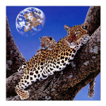 5D Teemantmaaling Gepard 3D Teemanttikandid Loomad T&auml;is&uuml;mmargused puurid Rhinestones 30x30CM