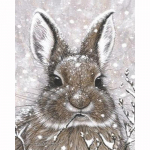 Teemantmaaling DIY 5D Snow Rabbit Ristpistes Teemanttikandid Rhinestones Teemantmosaiik Toakaunistus 20X30CM
