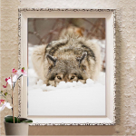 5D Teemantmaal Tikand Rhinestones Teemantmaal t&auml;ispuur ruut Wolf Wall Arts Decor Full Round 20X30CM