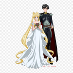 Sailor Moon Tuxedo Mask Tuxedo Mask Chibiusa rauast plaastrid r&otilde;ivastele Aplikatsioonid Kleebised riietel Kuumustundlik kohandatud plaaster