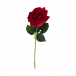 Kasulikud kunstlilled tuhmumisvastane erksus T&otilde;elise v&auml;limusega 7