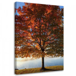L&otilde;uendiprint Tree Autumn Leaves 40x60 oranž