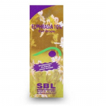 SBL Euphrasia 10% silmatilk 10 ml