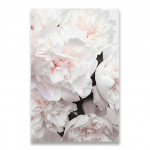 Skandinaavia stiilis pojengilillede l&otilde;uendiprint Suured seinakunsti plakatid ja v&auml;ljatr&uuml;kid Tsiteeri plakatit Lillede seinapildid elutuppa ilma raamita 21*30cm