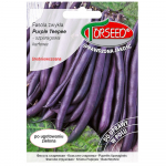 Fasola Purple Teepee fioletowa nasiona warzyw świeże PREMIUM 30g