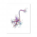 Neuron Watercolor Neuroscience Neurology Seinakunst Plakat Prindi Aju anatoomia Meditsiin L&otilde;uend Maali Synapse Kliinik Ruumi sisustus 70x100cm No Framed