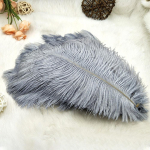 100 tk jaanalinnusulgede ornament 15-20 cm DIY looduslik kodune pulmapeo kaunistus hall v&auml;rv