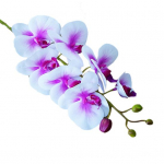 1 tk kunstlillede liblikas orhideeaed DIY peo kodu pulmafoto rekvisiidid 3