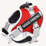 Koerarakmed v&auml;ikestele ja keskmistele koertele, reguleeritavad helkurvestide rakmed &otilde;ues jalutamiseks S