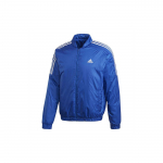 Adidas Essential Soojustatud Bomberjakk V&auml;litingimusteks Vabaaja Spordiks Puuvillane Jakk Talvised Meeste Jakid Kuninglik-Sinine GH4579 L