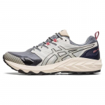 ASICS Gel Trabuco Terra 'Midnight Stone Grey' tossud 1203A238-020 41.5