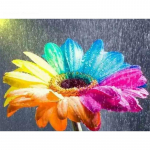 5D isetehtud teemantmaal V&auml;rvilised lilled Teemanttikandid Ristpistes Kodukaunistus K&auml;sitsi valmistatud kingitused Round 20x30cm