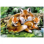 3D-teemanttikandid ristpistes &uuml;mmargune kivimaaling looma rebane Full Round 20x25CM