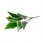 Esteetiline kunstlik taim, pleekimata unikaalne simulatsiooniharu rohelised lehed D