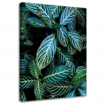 L&otilde;uendiprint Tropical Leaves Nature 40x60 roheline