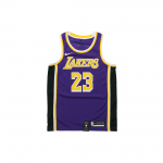 Nike NBA Lakers LeBron James 23 F&auml;nniversiooni pusa &uuml;mmarguse kaelusega s&auml;rk Meeste spordir&otilde;ivad Lilla AA7097-514 S