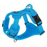 Reguleeritavad ja plahvatusvastased koerarakmed ja pliikomplekt turvaliseks ja l&otilde;busaks v&auml;litegevuseks koos teie lemmikloomaga #kuningap&auml;evaks S oranž