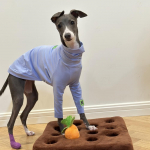 Pehme sinine puuvillane T-s&auml;rk Huibit Koerriiete Elastne Kevadine S&uuml;gismantel Bedlingtoni Little Greyhoundi K&otilde;rgekaelusega pidžaamadele Size 1