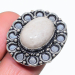 Natural Fossil Coral Gemstone 925 Sterling Silver Jewelry Ring Size 8 a2p84