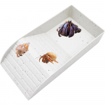 Erakkrabi veepaak koos ronimisrambiga v&auml;ikestele kuni keskmistele erakkrabile