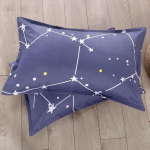 Voodipesu Mood Tr&uuml;kitud Padjap&uuml;&uuml;r Kodu Padjap&uuml;&uuml;r &Uuml;li&otilde;pilase &Uuml;hiselamu Padjap&uuml;&uuml;r 48X74cm 2pcs