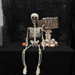 Halloween 70cm Skelett Simulatsioon Inimese Plastikust Skelett Kummitusmaja Rekvisiit Skeleti Dekoratsioon One Size valge