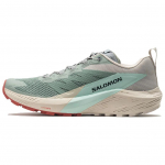 SALOMON Sense Ride 5 Comfortable And Lightweight Slip Resistant Abrasion Resistant Low top Running Shoes Women's L47212300 38⅔
