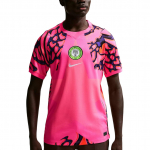 Nike Dri-Fit 2026 Hooaeg Nigeeria Meeskonna V&auml;ravavahi F&auml;nniversioon Kiiresti Kuivav L&uuml;hikeste Varrukatega Jalgpallis&auml;rk Meeste &uuml;laosad IB5313-645 XL