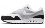 Nike Air Max 1 Wolf Grey Black AH8145-003 41