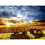 5D isetehtud teemantmaal ristpistes  Maastik p&otilde;llumaa  Teemanttikandid n&auml;put&ouml;&ouml; kivikivi 20X30CM