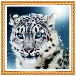 Snow Leopards 5D Teemantmaal Ristpistes Kristallist &uuml;mmargused Komplektid L&otilde;petamata Dekor Teemanttikandid 20X30CM