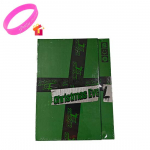 Stray Kids j&otilde;ululaup&auml;eva p&uuml;hade erialbum piiratud v&auml;ljaanne Green