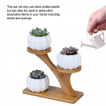 Moodne keraamilise taimepoti bambustaldriku hoidik kodukontori kaunistamiseks Small pumpkin + tree