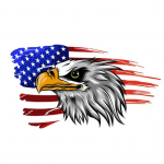 Realistlik autodekoori kleebis V&auml;rvikindel veekindel kriimustusvastane B