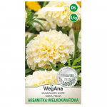 Saialille Tagetes Kilimanjaro valged seemned 0,5 g Tagetes seemned - WegAna
