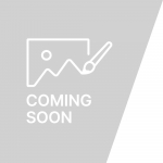 DIANE NATURE LA DIANE COLOR SHAMPOO HOOLDUS ASH VARGE TRIAL 25ml 2