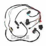 Maastikus&otilde;idukite ATV rannaauto mootorratta juhtmestik 50-110CC s&uuml;&uuml;tes&uuml;steemi jaoks Full Vehicle Wiring Harness (7-piece Set)