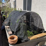 Garden Tunnel Greenhouse Protection from Heat 300 Cmx45 cm Plant Cover Hoops for Patio