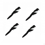 4 Piece Magpie Decoy Hunting Garden people