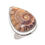 Natural Ammonite Fossil Gemstone 925 Sterling Silver Jewelry Ring Size 8 o0w00