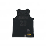 Nike Connected S&auml;rk NBA lakers LeBron James MVP Must Meeste CI2030-010 S