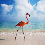 Teemantmaal ristpistes valge roosa flamingo rannas n&auml;put&ouml;&ouml; tikandid teemant dekoratiiv 30x30CM