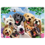 Les Tr&eacute;sors De Lily [Q9200] - Mitmev&auml;rviline  Dogs  metallist magnet (selfie) - 9x6. 5 cm mitmev&auml;rviline