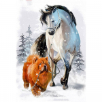 5D isetegemise teemantmaal  Loomade hobukoer  3D teemanttikandid ristpistega kodukaunistusega seinakleebised 20X30CM