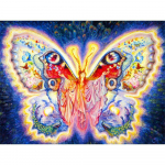 Teemantmaaling haldjas Liblikas Teemanttikandid Rhinestones Teemantmosaiik Pilt kivide dekoratsioonist 20X30CM